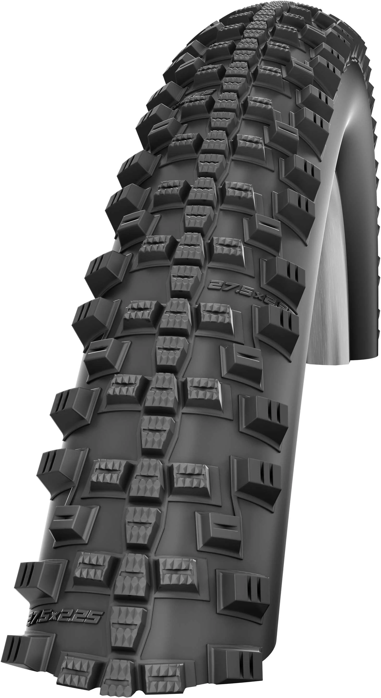 Schwalbe